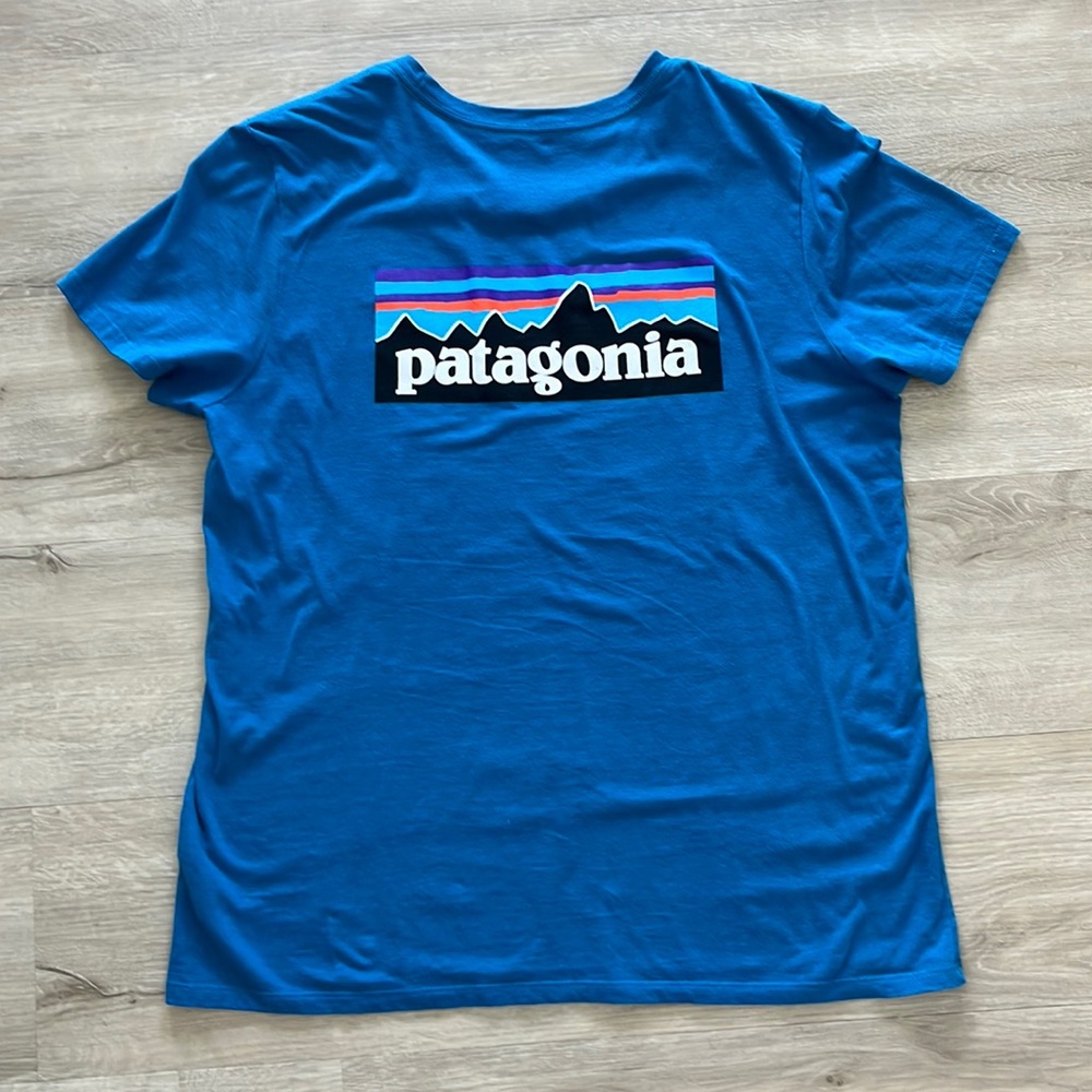 Patagonia Organic Cotton Tee